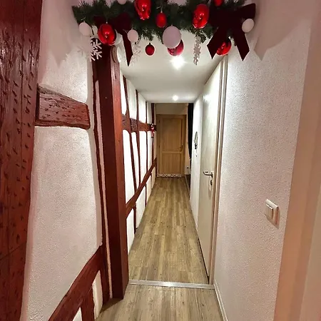 Le Cocon Du Vieux * Colmar