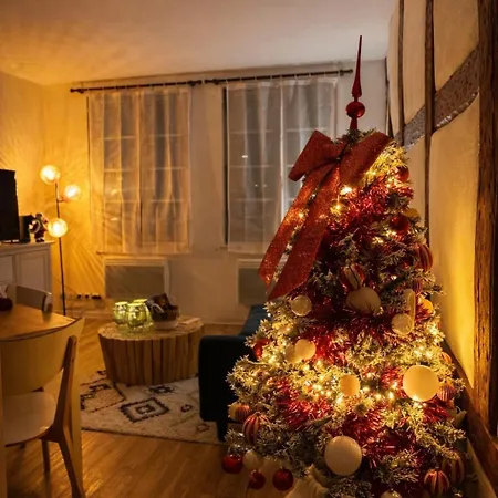 Le Cocon Du Vieux - Design Et Cosy - Hypercentre *