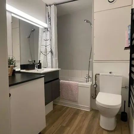 Apartment Le Cocon Du Vieux - Design Et Cosy - Hypercentre Colmar