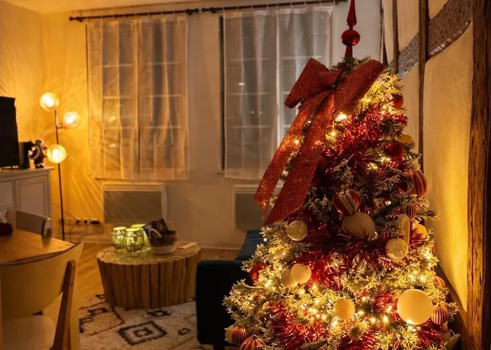 Le Cocon Du Vieux - Design Et Cosy - Hypercentre *