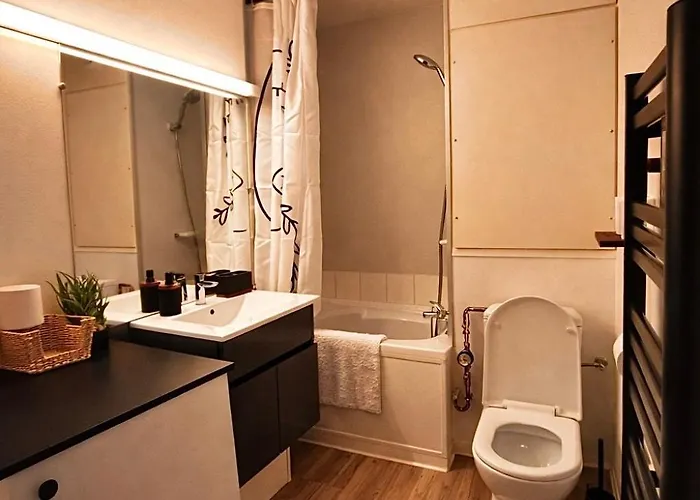 Le Cocon Du Vieux Apartment *