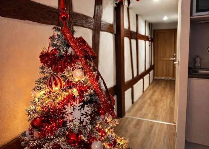 Le Cocon Du Vieux - Design Et Cosy - Hypercentre Colmar