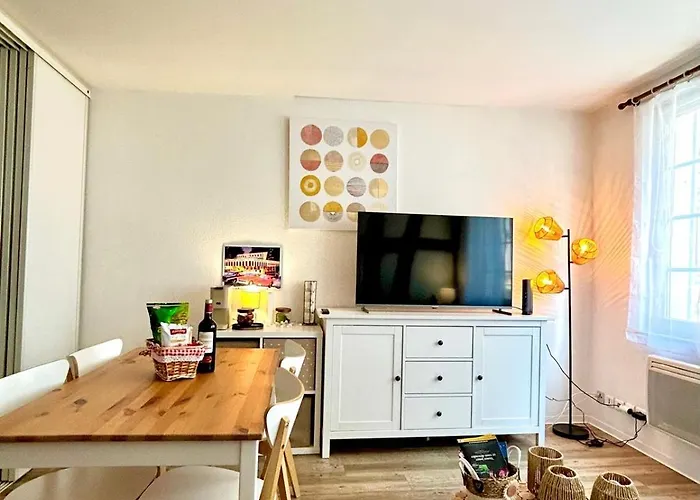 Le Cocon Du Vieux - Design Et Cosy - Hypercentre Apartment *