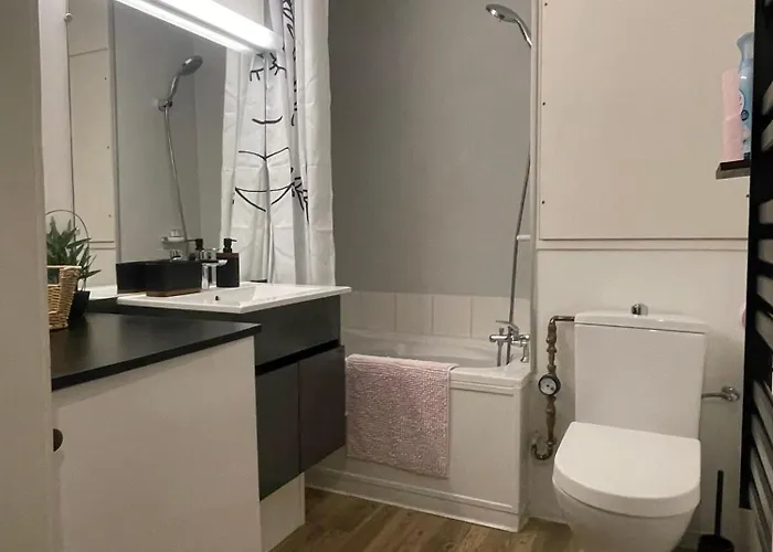 Apartment Le Cocon Du Vieux - Design Et Cosy - Hypercentre Colmar